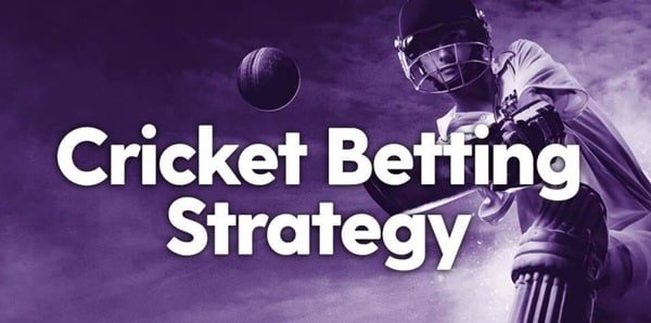 cricket betting tips